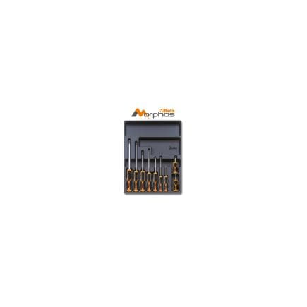 BETA 024000717 - Module thermoformé en ABS avec tournevis Morphos pour vis à tête Phillips® (vide)