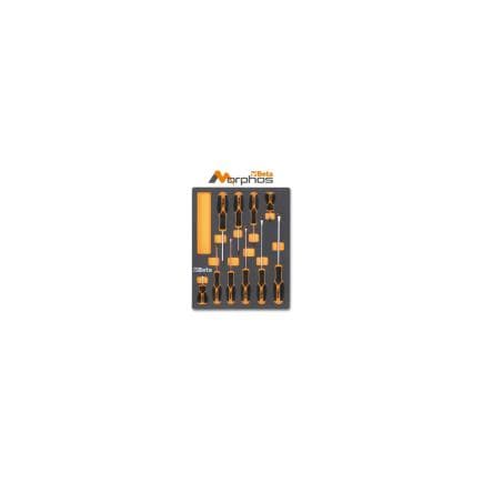 BETA 024510243 - Module en mousse EVA avec tournevis Morphos pour vis à tête fendue et Phillips® (vide)
