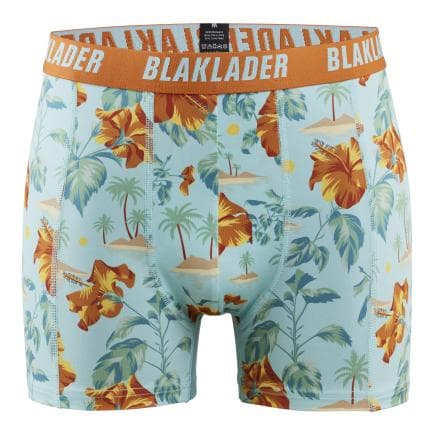 BLAKLADER 188610798149S - Boxers - Pack X2 Bleu Clair/Bleu Vert
