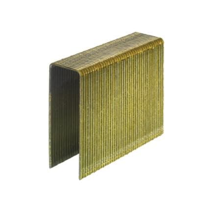 BOSTITCH S1-100G12 - 1 agrafe GA avec finition G12 et embout ciseau (Lot multiple)