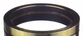 Bague de pied