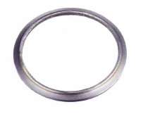 Back-up Bague DN 210