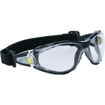 DELTA PLUS PACAYLVSTIN - Lunette pacaya lyviz strap in