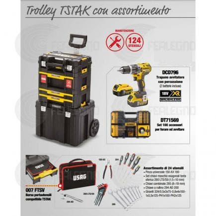 DeWALT DWUSK117-IT - Drill driver set in trolley TSTAK with Dewalt and Usag maintenance assortment (124 pcs.)