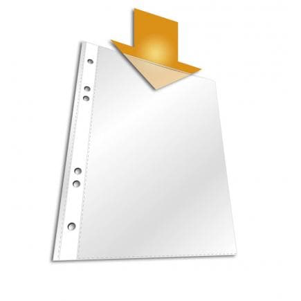 DURABLE 2661-19 - Enveloppe perforée BUSINESS Folio en PPL (lot muliple)