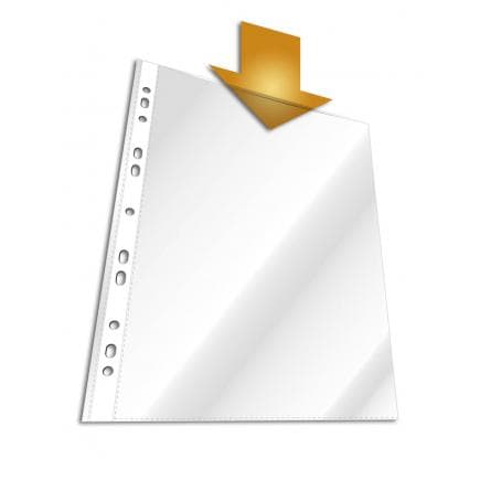 DURABLE 2673-19 - Enveloppe perforée BUSINESS A4 extra brillante dans une PPL (lot muliple)