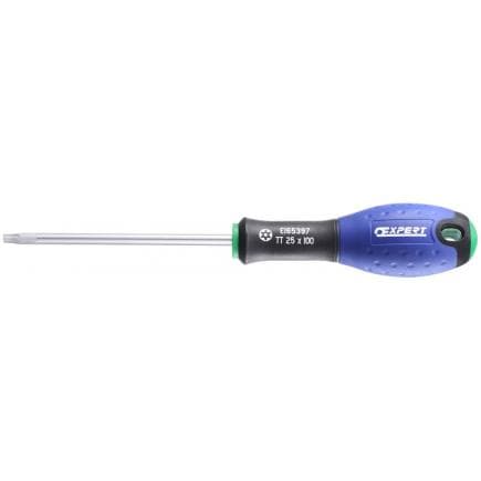 EXPERT E165340 - Tournevis Resistorx®