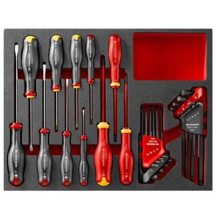 FACOM F50031049 - Assortiment de tournevis et clés mâles en module mousse (28 pièces)