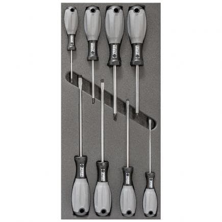 FERVI TM01/021 - Mixed screwdriver set in foam tray (8 pcs.)