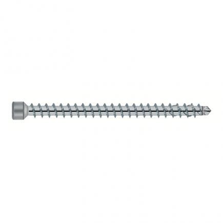 FISCHER 659430 - Vis de construction Torx galvanisée blanche à tête cylindrique et filetage complet FPF-ZTN ZPF