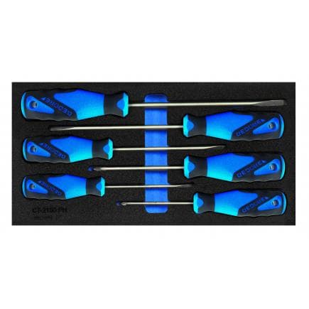 GEDORE 2309149 - Jeu de tournevis dans le module Check-Tool (6 pcs.)