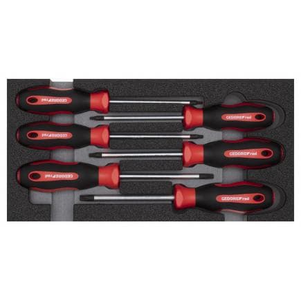 GEDORE 3301714 - Jeu de tournevis TX dans le module 2/6 CT (6 pcs.)