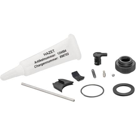HAZET 863HPB/11 - Kit de pièces de rechange pour roue à rochet pour embouts 863HPB