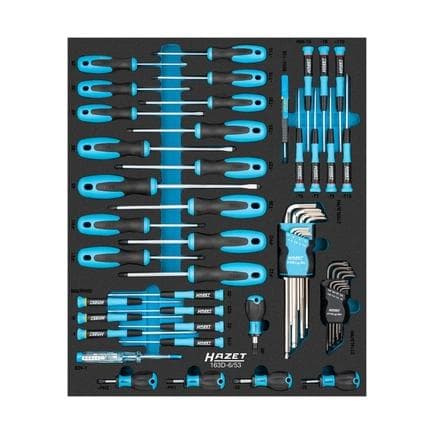 HAZET 163D-6/53 - Jeu de tournevis (53 pcs.)