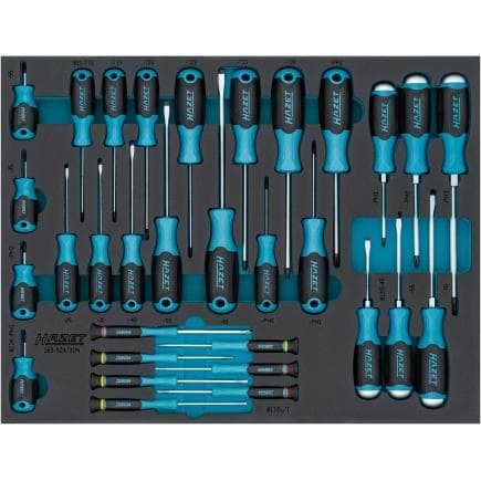 HAZET 163-524/31N - Jeu de tournevis (31 pcs.)