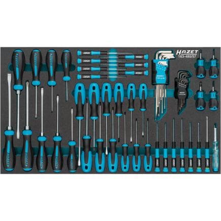 HAZET 163-480/57 - Jeu de tournevis et de vis Allen (57 pcs.)