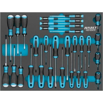 HAZET 163-524/31 - Jeu de tournevis (31 pcs.)