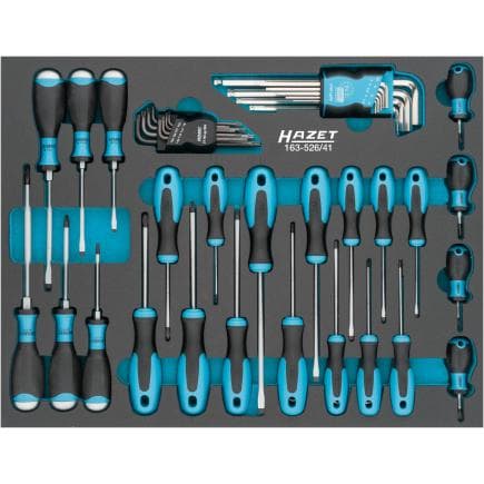 HAZET 163-526/41 - Jeu de tournevis et de vis Allen (41 pcs.)