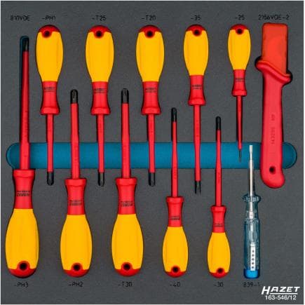 HAZET 163-546/12 - Jeu de tournevis avec isolation de protection 1000V (12 pcs.)