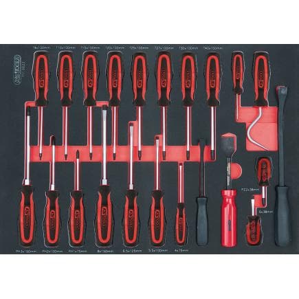 KS TOOLS 711.0022 - Jeu de tournevis et de crochets en module SCS 1/1 (22 pcs.)
