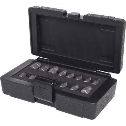 KS TOOLS 150.1385 - Jeu d'extracteurs pour vis creuses, 15pcs