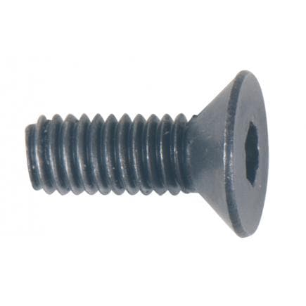 KS TOOLS 515.3545-R009P - Vis pour bague de boîtier