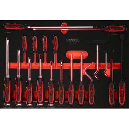 KS TOOLS 811.1019 - Jeu de tournevis et crochets dans insert en mousse (19 pcs)