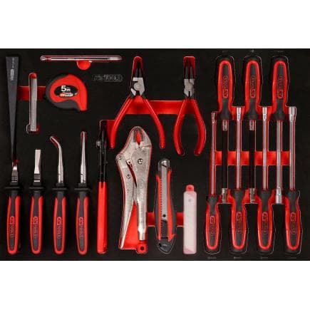 KS TOOLS 811.1032 - Jeu de tournevis et pinces dans insert en mousse (32 pcs)