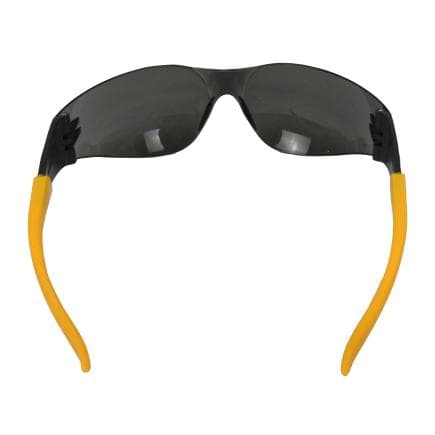 RADIANS DPG54-2D EU - Dewalt lunettes de protection Protector avec lentille fumée