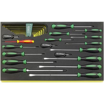 STAHLWILLE 96831168 - Assortiment de tournevis DRALL + à empreinte TCS (27 pcs.)