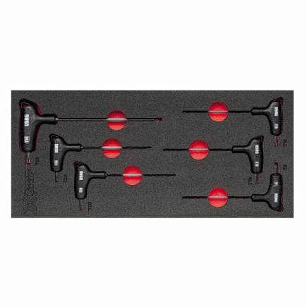 USAG U05191066 - Jeu de clés torx dans module de mousse bicolore (6 pcs)