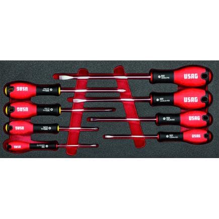 USAG U05190927 - Module en mousse bicolore assorti avec tournevis plat et cruciforme (8 pièces)